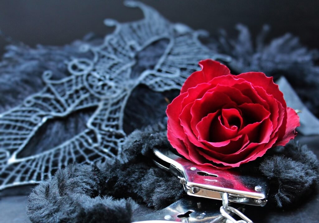 mask, handcuffs, rose, black mask, eroticism, rose flower, seduction, invitation, shackles, imagination