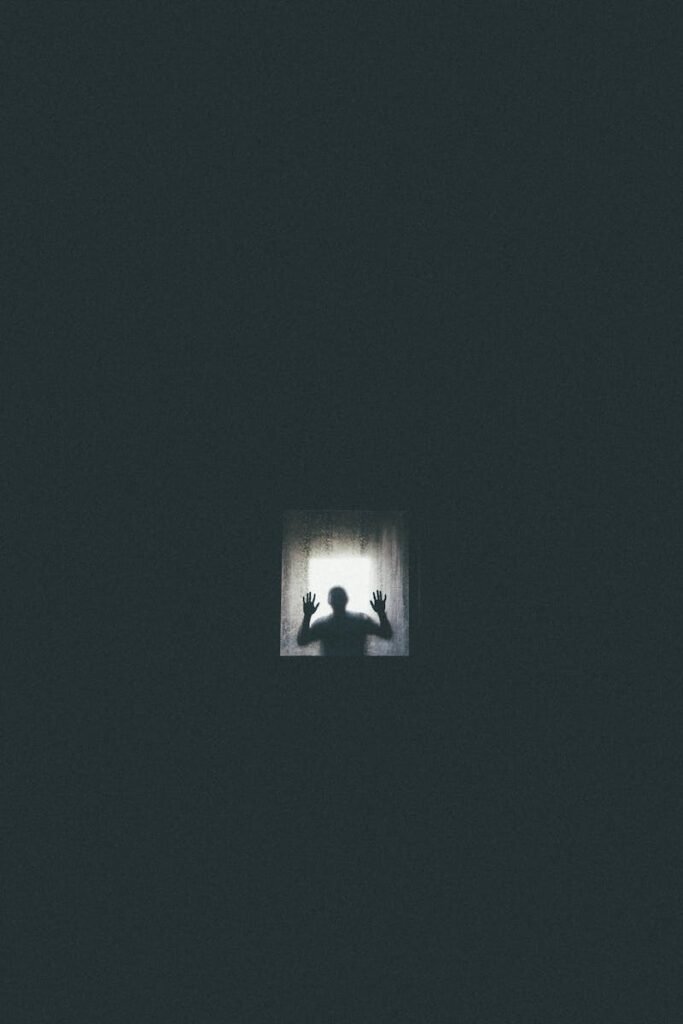 Eerie silhouette of a person against a window, conveying themes of isolation and entrapment.